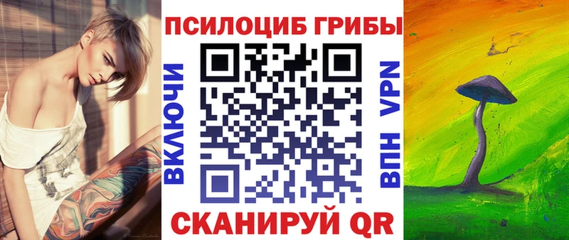 Купить где  Сортавала  Галлюциногенные грибы Psilocybe 